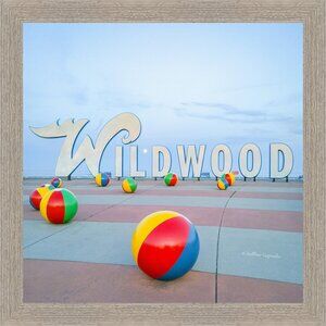 A Full Moon in The Wildwoods